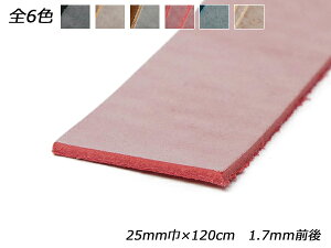 S[Xg[XizCgbNXj //Œ///i` 25mm×120cm 1.7mmO 1{[U[Ntgς] U[NtgvЂ [X kv[X