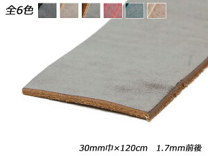 S[Xg[XizCgbNXj //Œ///i` 30mm×120cm 1.7mmO 1{[U[Ntgς] U[NtgvЂ [X kv[X