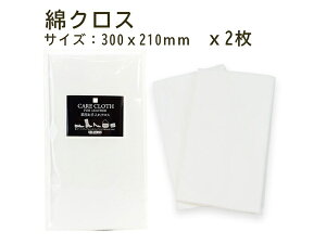 vpNX  30×21cm 2y[֑Iz [U[Ntgς] U[NtgH PApi 