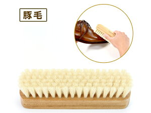 RuXuVؖсiC̃copj  170×50mmAё22mm[U[Ntgς] U[NtgH PApi 