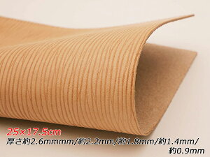 y؂vzk ^V{iThU[j i` 24.5×17cm 0.9mm/1.4mm/1.8mm/2.2mm/2.6mm 1y[֑Iz [U[Ntgς] U[Ntg؂viJbgU