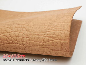 y؂vzk ^AQ[^  24.5×17cm 0.9mm/1.4mm/1.8mm 1y[֑Iz [U[Ntgς] U[Ntg؂viJbgU[j kvij