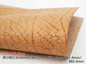 y؂vzk ^ChoC\iThU[j i` 24.5×17cm 0.9mm/1.4mm/1.8mm/2.2mm/2.6mm 1y[֑Iz [U[Ntgς] U[Ntg؂vi