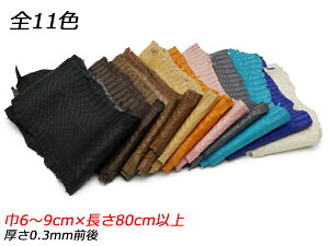 E~wr \tg}bg S S11F 6|9cm×80cmȏ 0.3mmO 1y[֑Iz [U[Ntgς] U[Ntg 1v ঒ GCv