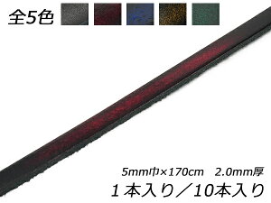 Aho[X S5F 5mm×170cm 2.0mm 1{/10{y[֑Iz [U[Ntgς] U[NtgvЂ [X N[v[X
