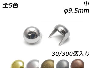 EhX|bc  S5F 9.5mm 30/300y[֑Iz [U[Ntgς] U[Ntg X^bY