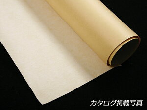 y5mZbgzڒc  n 105cm 0.5mm 5myz [Ntg] U[Ntg ڒc