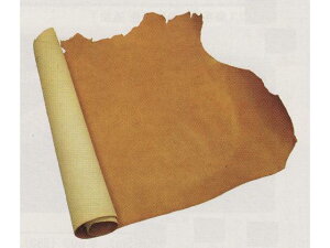 BZg S11F 270fV 2.4mmO fVP123~iōj فyz [iG] [iϓi] U[Ntg 1v kviJ[j