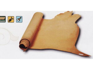 eB[S2 i` 220fV 2.0mmO fVP156~iōj فyz [Ntg] [iϓi] U[Ntg 1v kvinj