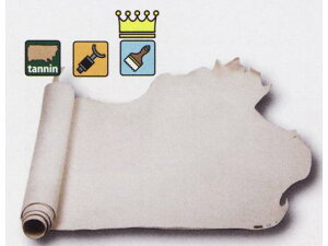 v^[ i` 240fV 2.6mmO fVP170~iōj فyz [Ntg] [iϓi] U[Ntg 1v kvinj