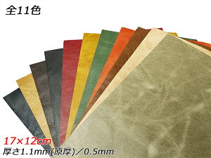 y؂vzsbM[Cg S11F 17×12cm 1.1mmij/0.5mm 1y[֑Iz [ς] U[Ntg؂viJbgU[j ؂vi؊vj