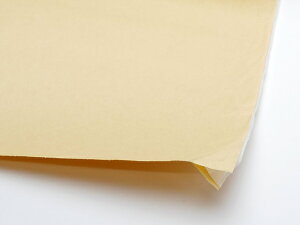 y؂蔄zʐڒV[g A4i29.7×21cmj 0.2mm 2Zbgy[֑Iz [U[Ntgς] U[Ntg ʐڒV[g