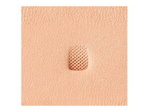 WWXeX B040 5.3mmy[֑Iz [Ntg] U[Ntg WWXeX