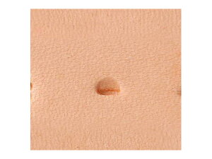 WWXeX F044 3.8mmy[֑Iz [Ntg] U[Ntg WWXeX