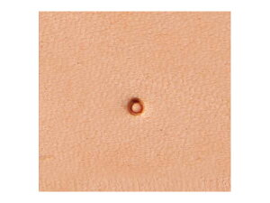 WWXeX S055 1.9mmy[֑Iz [Ntg] U[Ntg WWXeX