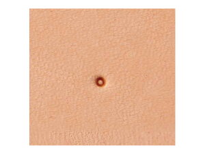 WWXeX S056 1.4mmy[֑Iz [Ntg] U[Ntg WWXeX