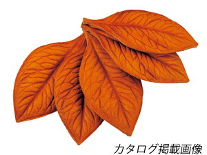 eB[S[t 8.7cm 5y[֑Iz [Ntg] U[NtgvLbg ANZT[