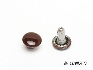 ʃJV    6mm×̒6mm 10y[֑Iz [Ntg] U[Ntg ʃJV