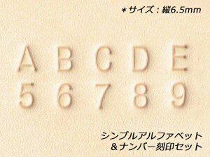 VvAt@xbgio[Zbg 6.5mm 36{yz y[֑Iz [U[Ntgς] U[Ntg At@xbgZbg