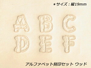 At@xbgZbg Ebh 19mm 26{yz y[֑Iz [U[Ntgς] U[Ntg At@xbgZbg