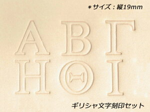 MVZbg 19mm 24{yz y[֑Iz [U[Ntgς] U[Ntg ꕶZbg