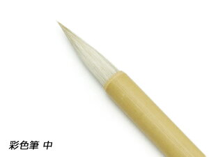 ʐFM y[֑Iz [iG] U[NtgH M Fp