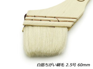 ؂ 2.5 60mmy[֑Iz [iG] U[NtgH M Fp