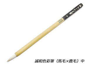 aʐFM [݌Ɍ]y[֑Iz [SEIWA] U[NtgH M Fp