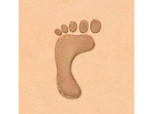 G   25mm×16mmy[֑Iz [U[Ntgς] U[Ntg Gi2-3DX^vj