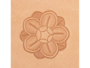 G @ a27mmy[֑Iz [U[Ntgς] U[Ntg Gi2-3DX^vj