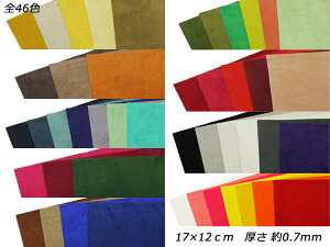 y؂vzsbOXG[h S46F 17×12cm 0.7mm 1y[֑Iz [U[Ntgς] U[Ntg؂viJbgU[j ؊viԁj