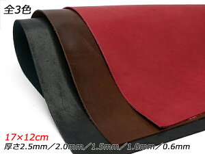 y؂vzThU[ /Œ/ 17×12cm 0.6mm/1.0mm/1.5mm/2.0mm/2.5mm 1y[֑Iz [U[Ntgς] U[Ntg؂viJbgU[j kviԁj