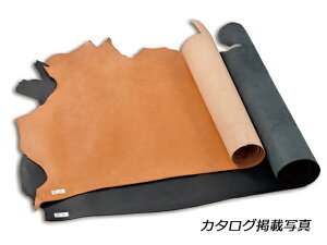 [K S8F 220fV 3.5mmO fVP170~iōj فyz [iG] [iϓi] U[Ntg 1v kviJ[j