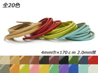 ドエリアレース 全20色 4mm巾×170cm 2.0mm厚 1本【メール便選択可】 [レザークラフトぱれっと] レザーク…