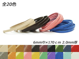 hGA[X S20F 6mm×170cm 2.0mm 1{y[֑Iz [ς] U[NtgvЂ [X kv[X