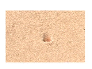 xx B200y[֑Iz [iG] U[Ntg iA`Zj/iG