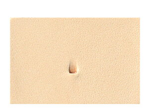 xx B892y[֑Iz [iG] U[Ntg iA`Zj/iG