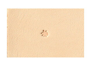 tBMA[ F993y[֑Iz [iG] U[Ntg iA`Zj/iG