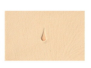 Xgbv H908y[֑Iz [iG] U[Ntg iA`Zj/iG