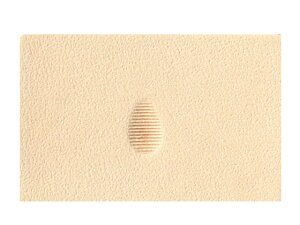 yAVF_[ P211y[֑Iz [iG] U[Ntg iA`Zj/iG