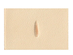 yAVF_[ P369y[֑Iz [iG] U[Ntg iA`Zj/iG