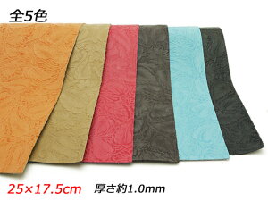 y؂vzSbzih_Cj S5F 25×17.5cm 1.1mmO 1y[֑Iz [U[Ntgς] U[Ntg؂viJbgU[j Ԑ؂viN[j