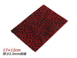 y؂vzAj}t@[ `[^[  17×12cm 2.0mmO 1y[֑Iz [ς] U[Ntg؂viJbgU[j ؂vȋj