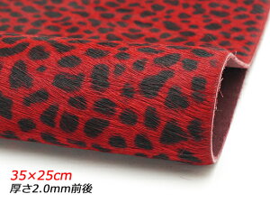 y؂vzAj}t@[ `[^[  35×25cm 2.0mmO 1[ς] U[Ntg؂viJbgU[j ؂vȋj