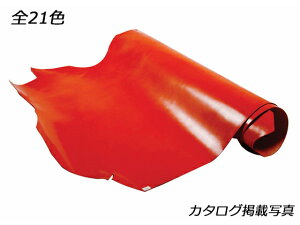 H[mAj S21F 230fV 2.0mmO fVP189~iōj فyz [Ntg] [iϓi] U[Ntg 1v kviJ[j