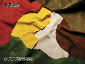 sbOXG[h S26F 100fV 0.7mmO fVP63~iōj Sفyz [Ntg] [iϓi] U[Ntg 1v ؊v