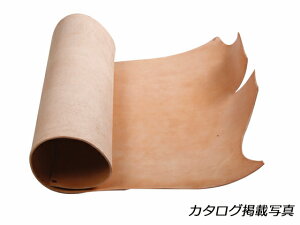 O[WOxY i` 120fV 6.0mmO fVP269~iōj VOxYyz [Ntg] [iϓi] U[Ntg 1v kvinj