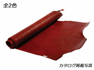 eB[S /Ԓ 230fV 4.0mmO fVP258~iōj فyz [Ntg] [iϓi] U[Ntg 1v kviJ[j