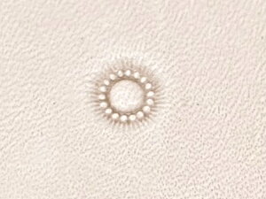 t[Z^[ J504y[֑Iz [iG] U[Ntg iA`Zj/iG