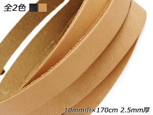 i`k[X L/ 10mm×170cm 2.5mm 1{y[֑Iz [ς] U[NtgvЂ [X kv[X